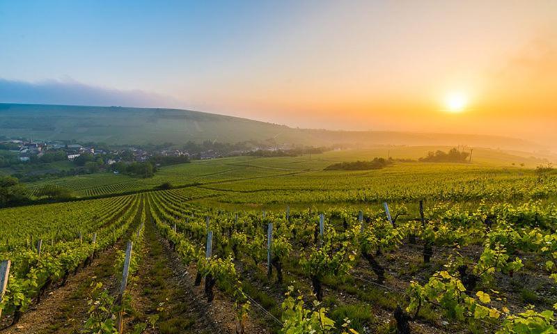 Maison Coeur De Sancerre Eksteriør billede